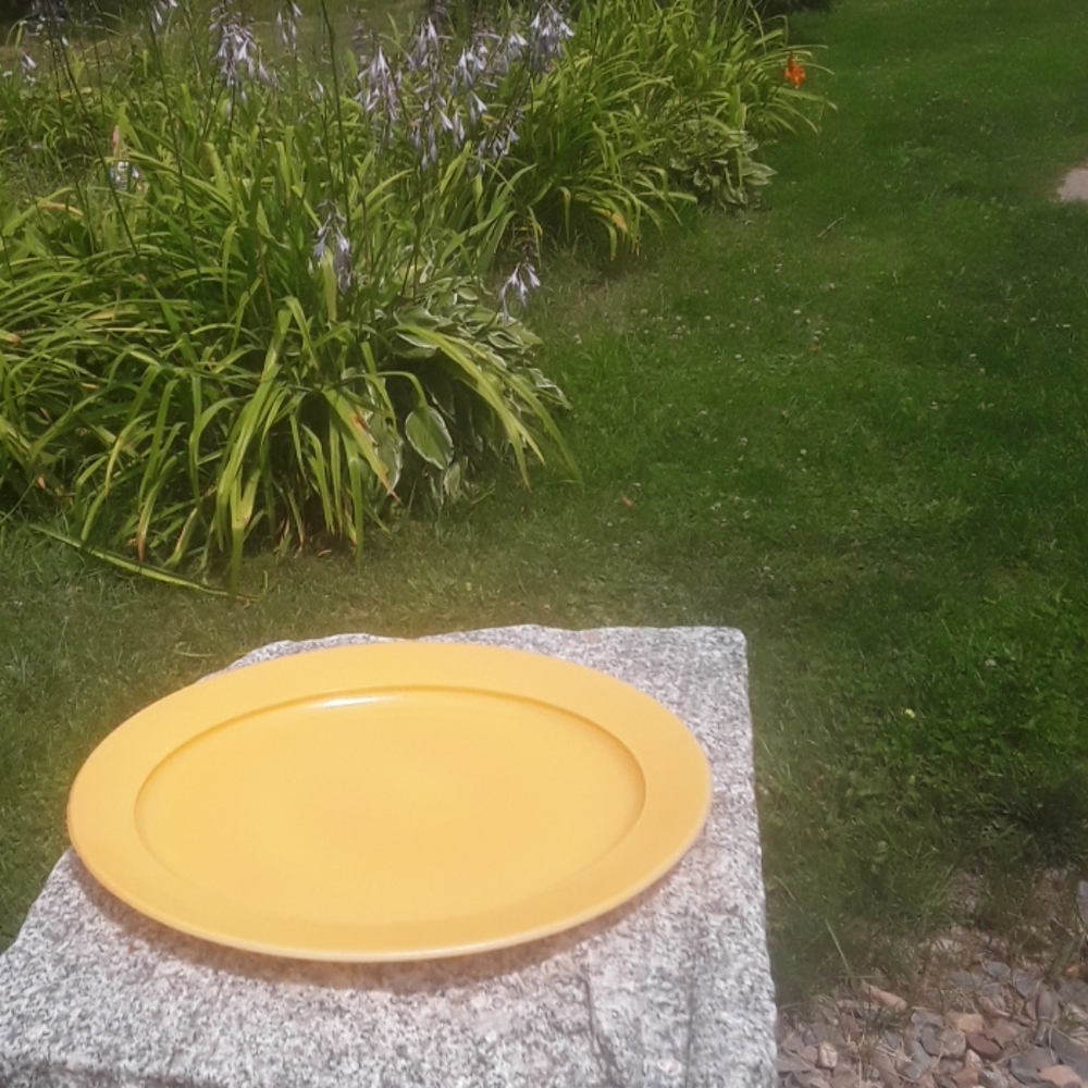 β Anchor Hocking DAFFODIL Milk Glass Oval VNPLVC
